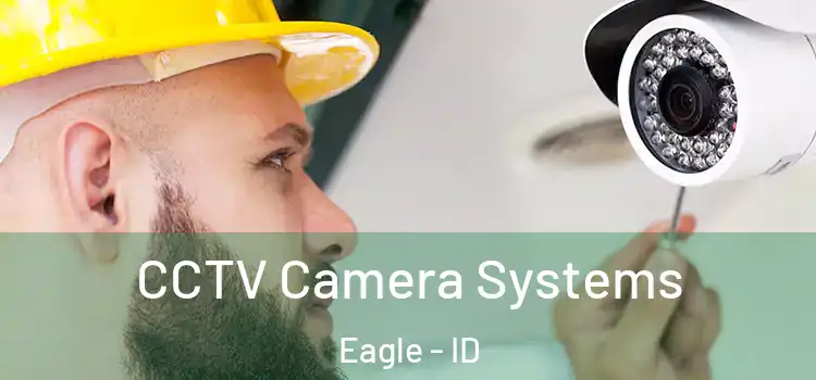  CCTV Camera Systems Eagle - ID