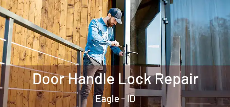  Door Handle Lock Repair Eagle - ID