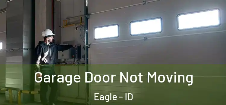  Garage Door Not Moving Eagle - ID