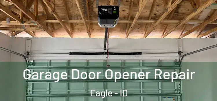  Garage Door Opener Repair Eagle - ID