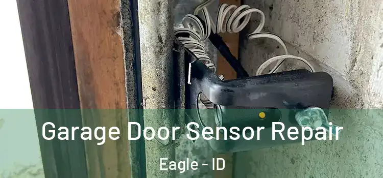 Garage Door Sensor Repair Eagle - ID