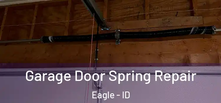  Garage Door Spring Repair Eagle - ID