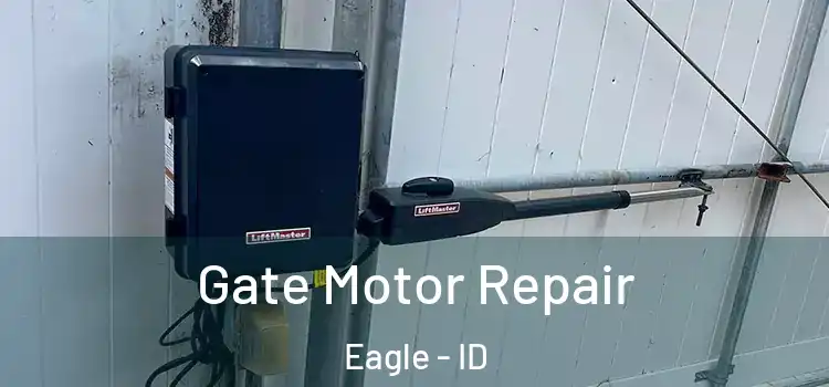  Gate Motor Repair Eagle - ID