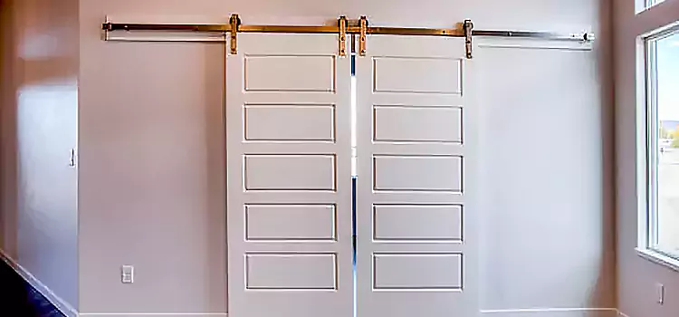 Glass Barn Door with Installation Hardware Kit Eagle