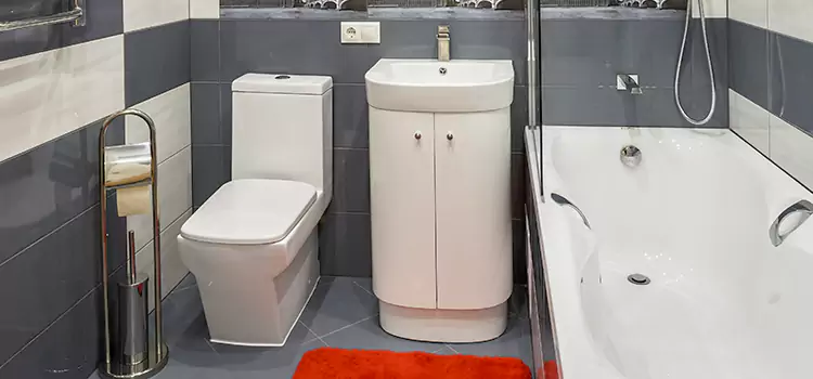 Hansgrohe Shaving Mirror Eagle