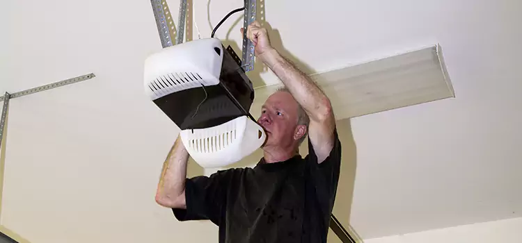 Garage Door Opener Service Eagle