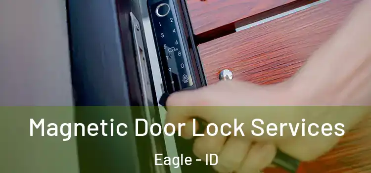 Magnetic Door Lock Services Eagle - ID