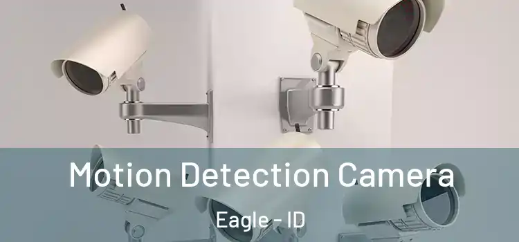  Motion Detection Camera Eagle - ID